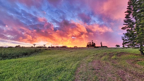 Navigating the Big Island Real Estate Market: Mandatory Buyer Representation Agreements with United Country Real Estate - Hawaii Lifestyle Properties,